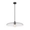 Z-Lite Paloma Pendant, 1-Light, 24 In.W x 6.75 In.H, Matte Black/Clear 821P24-MB - alternate 8